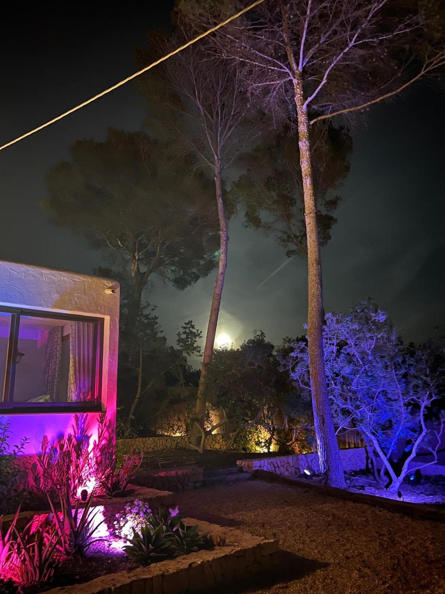 Spacious & Luxury Villa In Ibiza - Santa Gertrudis - Villa Chiquita Extérieur photo